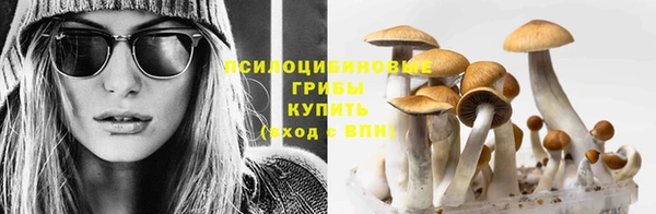 скорость Алексин