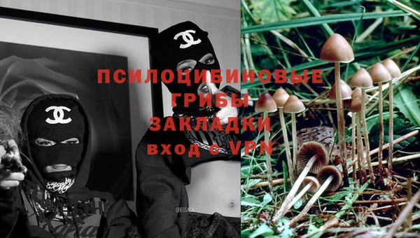 скорость Алексин